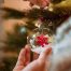 Holiday Stress