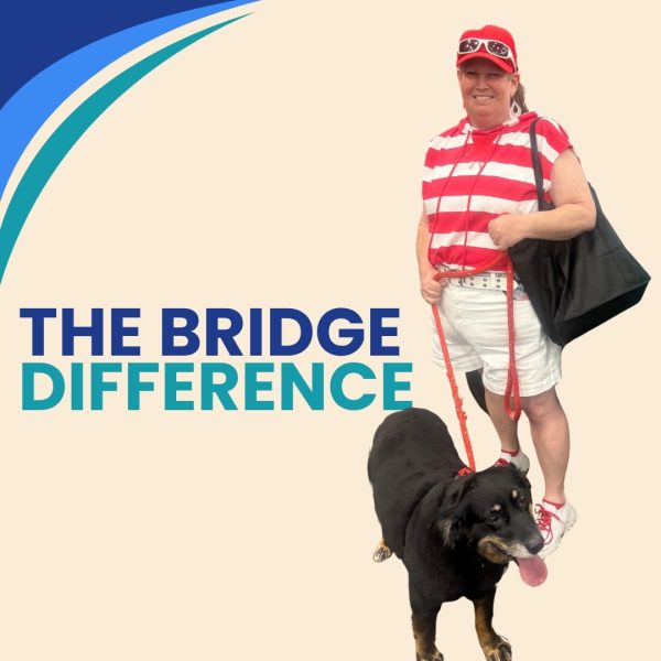 the bridge difference